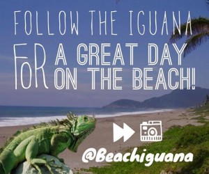 beach-iguana-2